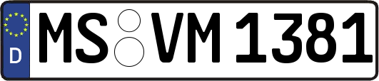 MS-VM1381