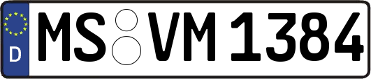 MS-VM1384
