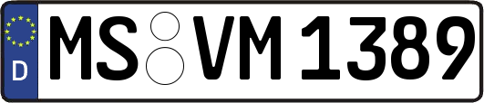 MS-VM1389