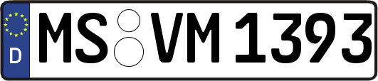 MS-VM1393