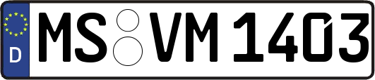 MS-VM1403