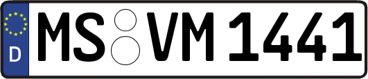 MS-VM1441