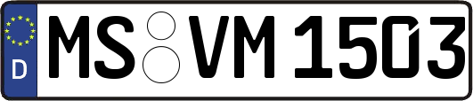 MS-VM1503