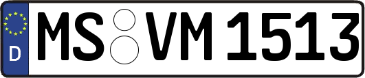 MS-VM1513