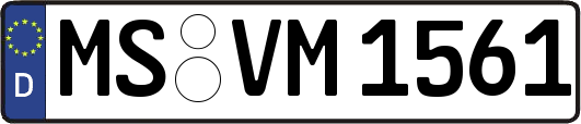 MS-VM1561