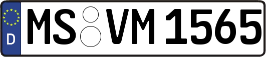MS-VM1565