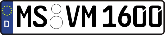 MS-VM1600