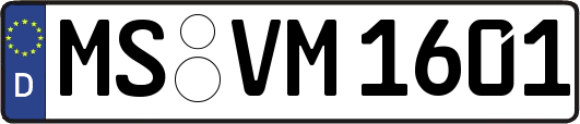 MS-VM1601