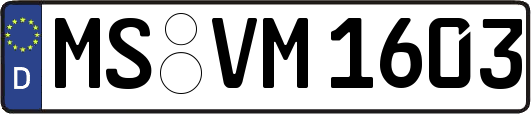 MS-VM1603