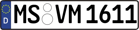 MS-VM1611