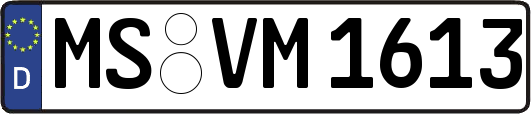 MS-VM1613