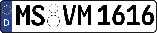 MS-VM1616