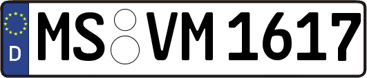 MS-VM1617