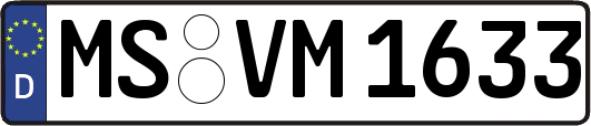 MS-VM1633
