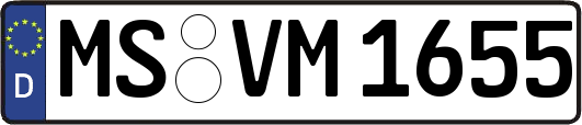MS-VM1655