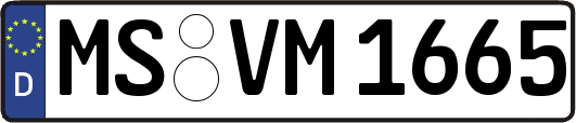 MS-VM1665