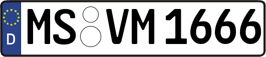 MS-VM1666