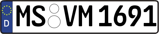 MS-VM1691