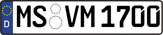 MS-VM1700