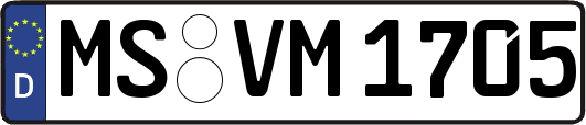 MS-VM1705
