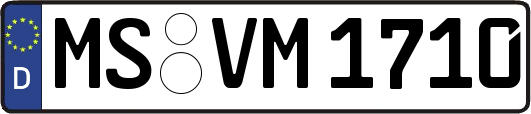 MS-VM1710