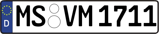 MS-VM1711