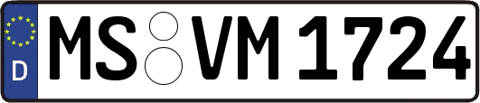 MS-VM1724