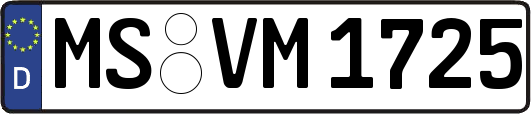 MS-VM1725