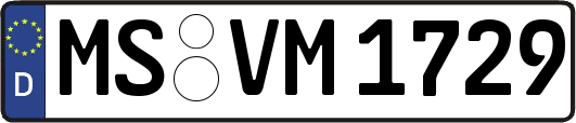 MS-VM1729