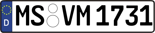 MS-VM1731