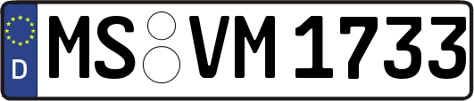 MS-VM1733