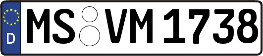 MS-VM1738