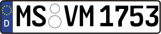 MS-VM1753
