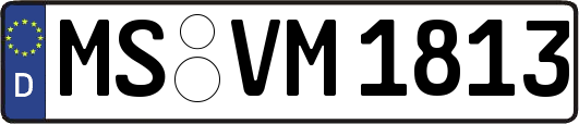 MS-VM1813