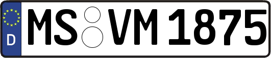 MS-VM1875