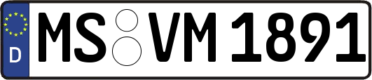 MS-VM1891