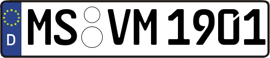 MS-VM1901