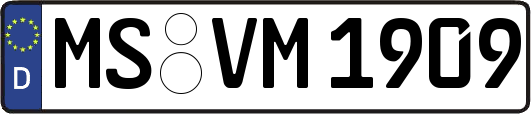MS-VM1909