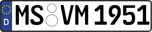 MS-VM1951