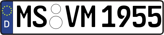 MS-VM1955