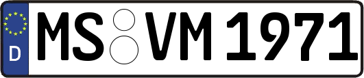 MS-VM1971