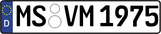 MS-VM1975