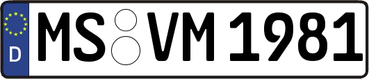 MS-VM1981
