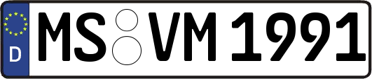 MS-VM1991