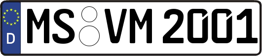 MS-VM2001