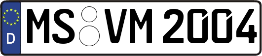 MS-VM2004