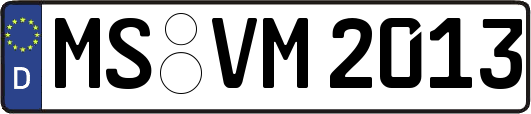 MS-VM2013