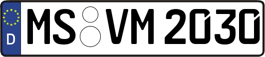 MS-VM2030