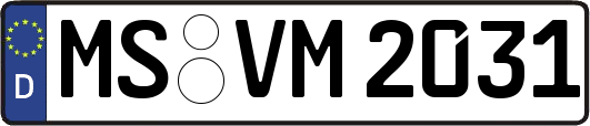 MS-VM2031