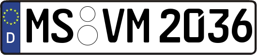 MS-VM2036